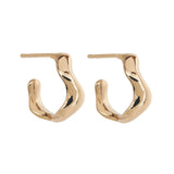 Gold Rise Hoops