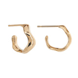 Gold Rise Hoops